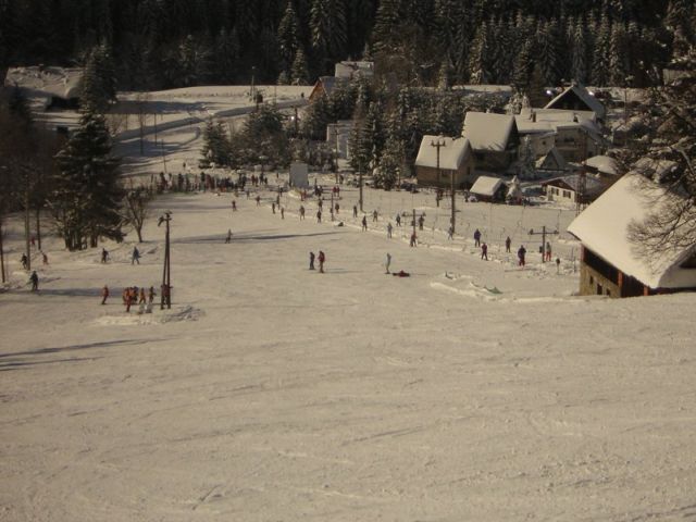 SKI AREL ZLATNK