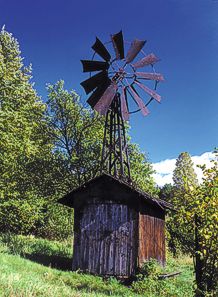 ALBRECHTICE