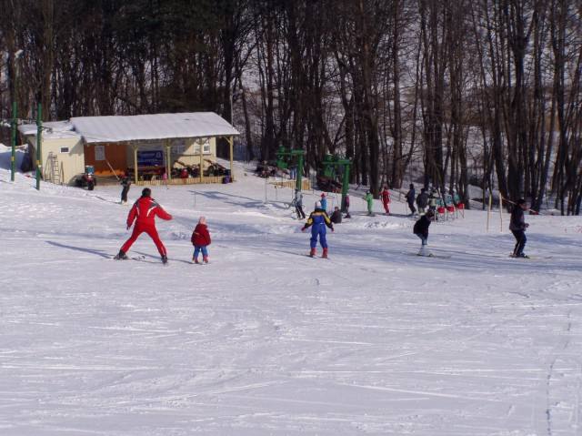 LYASK AREL MENDL-SKI BESTEK