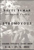 Výstava fotografií Pavla Remara - Stromovous